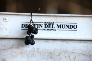 Argentina, Patagonia, Wines of Argentina, Rio Negro, Del Fin Del Mundo