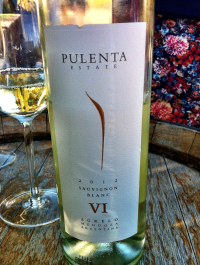 Mendoza, Arentina, Argentine wine, Pulenta Estate