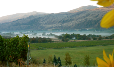 Black Hills Estate Winery, Nota Bene, Okanagan Valley, Black Sage Bench, Oliver BC