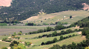Apalta, Chile, vineyards, Santa Rita, Carmen, wine