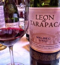 Tarapaca, Leon de Tarapaca malbec Syrah