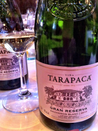 Tarapaca, Maipo, Chile, Gran reserva Sauvignon Blanc