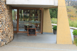 matetic vineyards, chile, wine EQ, Rosario Valley, San Antonio Valley