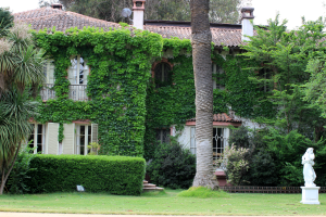 tarapaca, wine, chile, isla de Maipo