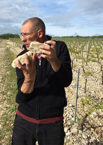 Chablis, Chablis Grand Cru, Chablis Premier Cru, Petit Chablis, Bourgogne, cool-climate Chardonnay, Eric Szablowski, kimmeridgean soil, climat, portlandian soi