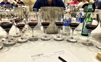 Judging wine, blind tasting wine, InterVin, International Wine Awards, Niagara, Ontario, Vines Magazine, Christopher Waters, Daenna Van Mulligen, National Post