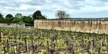 Chateau de Beru, Athenais Beru, Moon calendar, Beru, Chablis