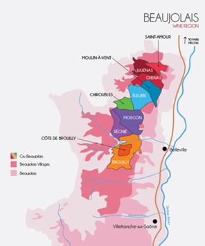 Chateau des Jacques, Beaujolais, Morgon, Moulin-a-Vent, Cyril Chirouze, Louis Jadot